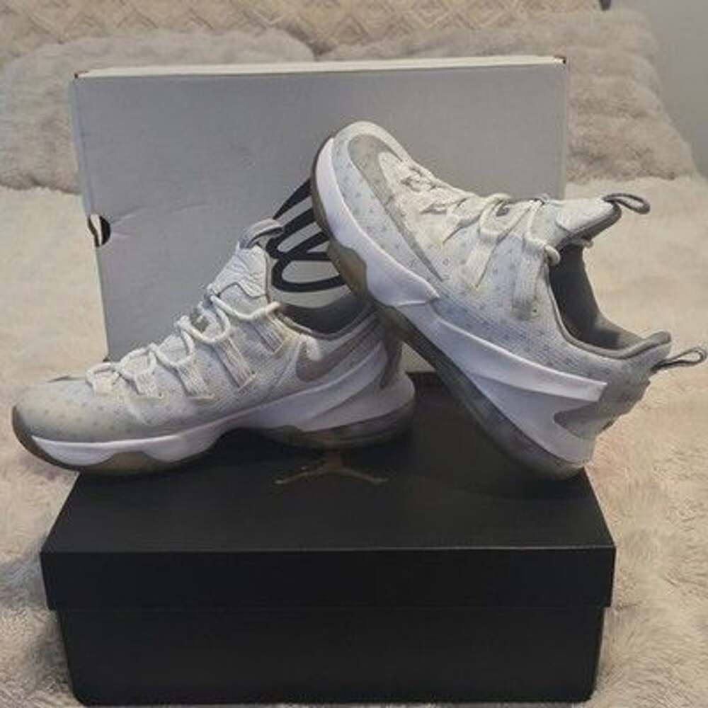 Nike LeBron 13 "Low Metallic Silver" Sneakers (Rare selling for $401 on stock x)